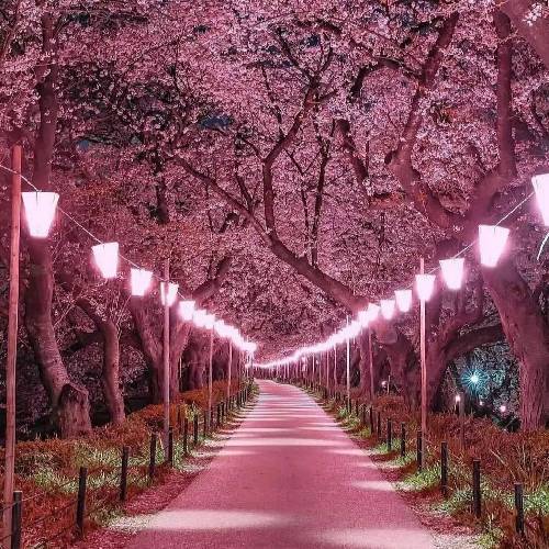 من و تو با همیم پرچم بالاستو حسودی میکنن خیلیا